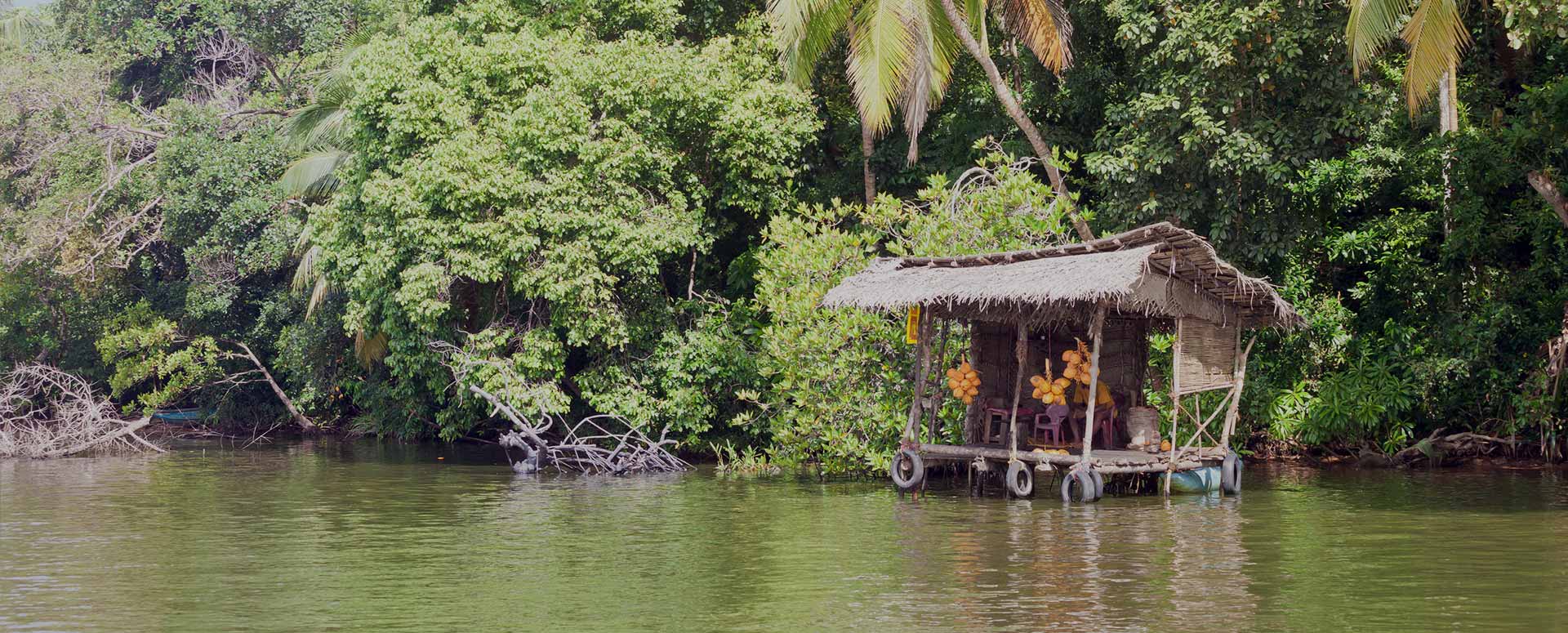 View of a hut selling king coconut on the Madhu river 