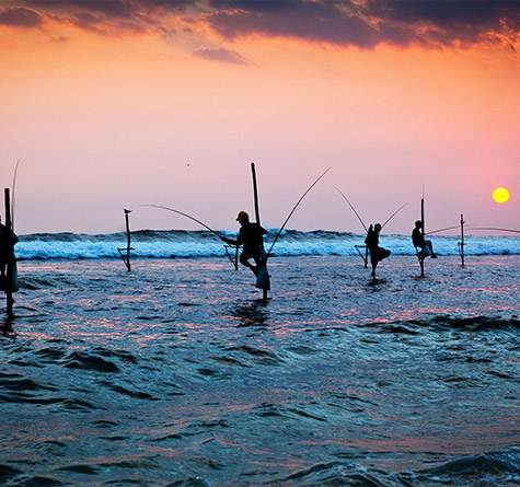 Stilt Fishing