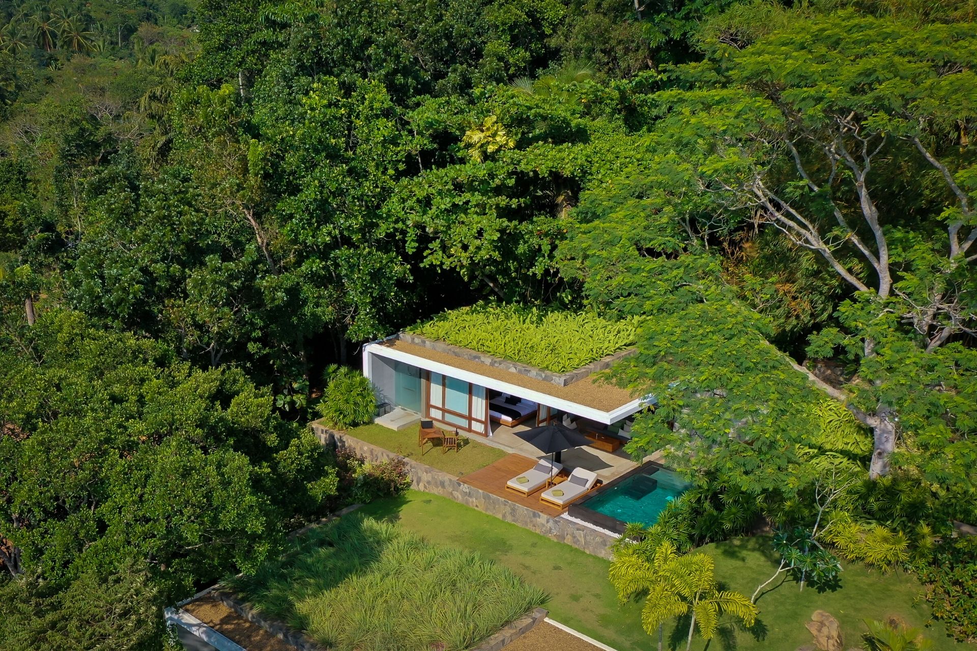 Saltwater plunge pool over looked by the contemporary style boutique villa