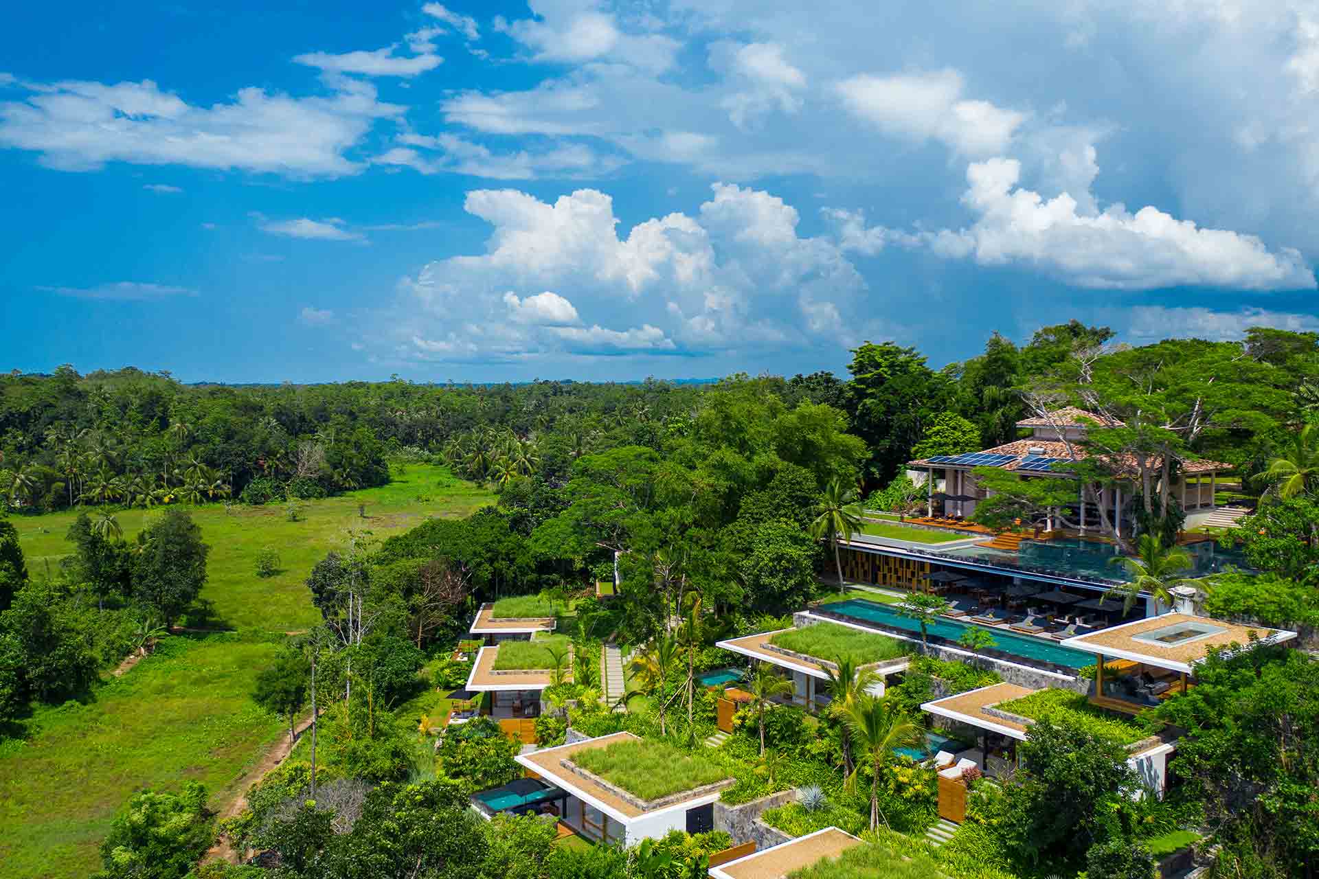 A view from the saltwater pool beside the dining area overlooking the sky and greenery