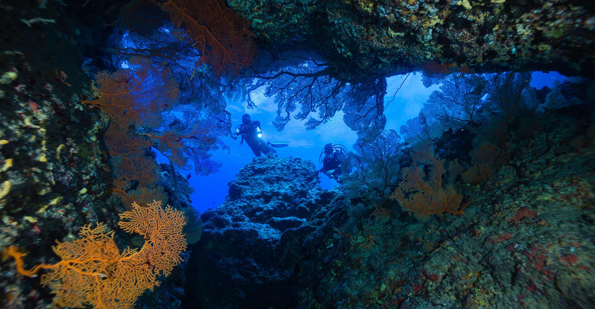 Scuba divers exploring the exotic marine life