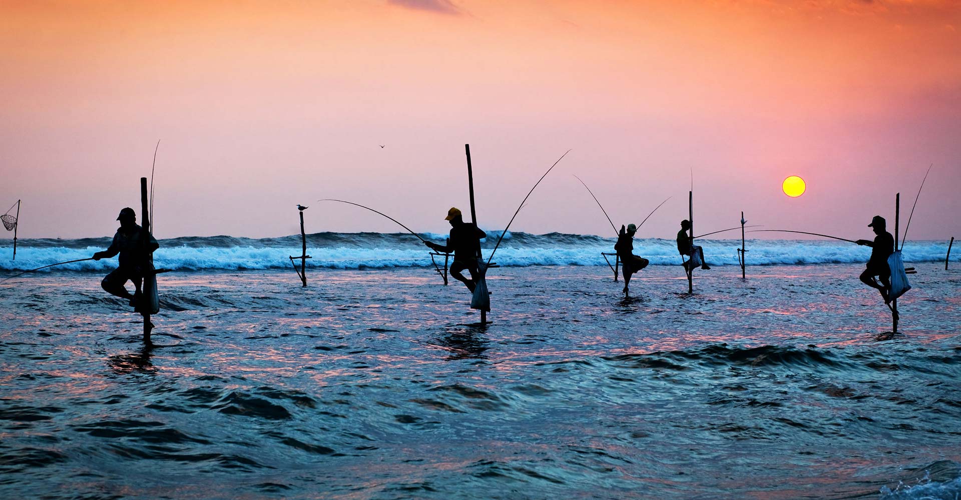 Stilt fisherman patiently waiting for their catch while the sun sets